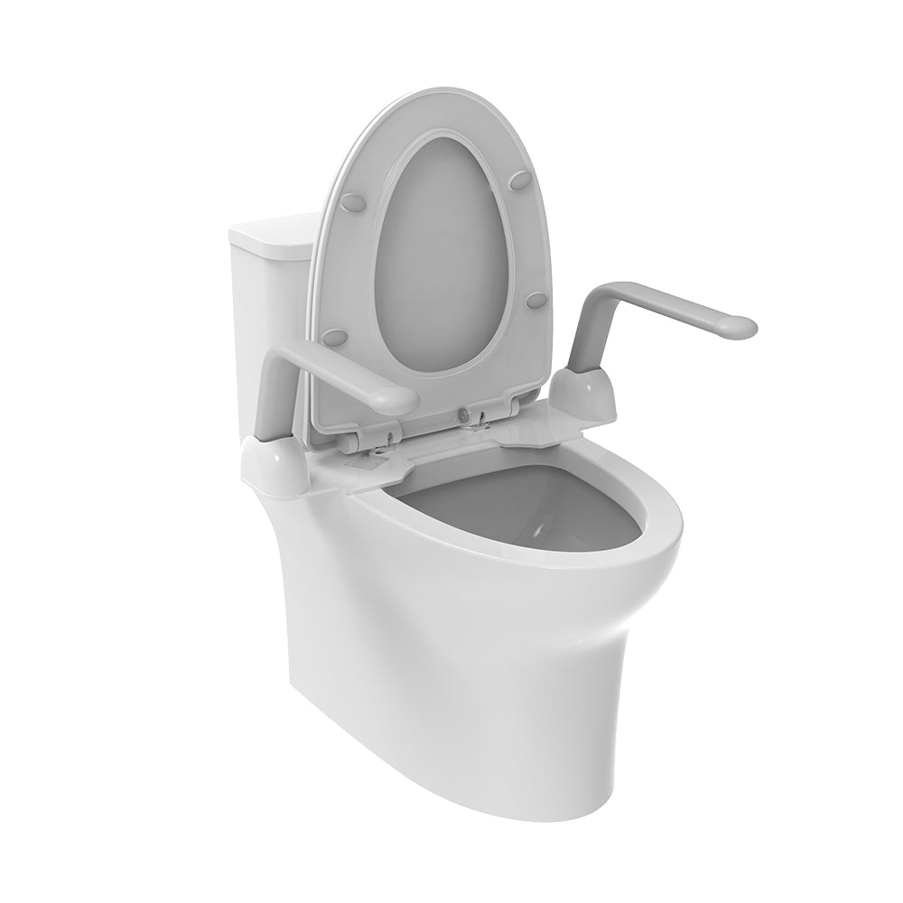 Euroshowers toilet seat arm rest