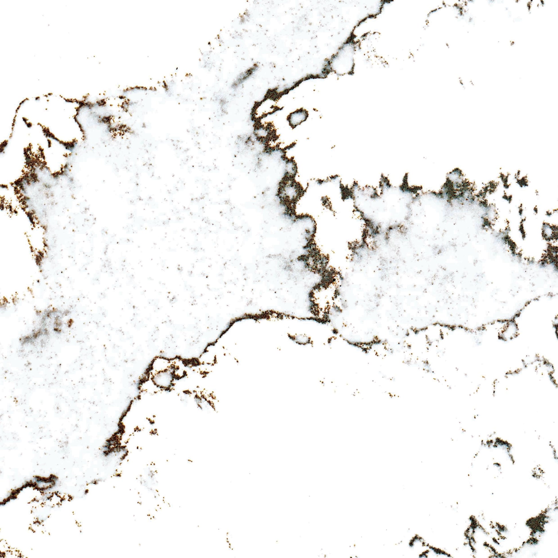 Nuance Postformed Panel - 2420 x 1220 x 11mm