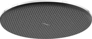 Raindance Alive S Overhead shower 300 1jet EcoSmart
