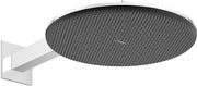 Raindance Alive S Overhead shower 300 2jet EcoSmart with shower arm