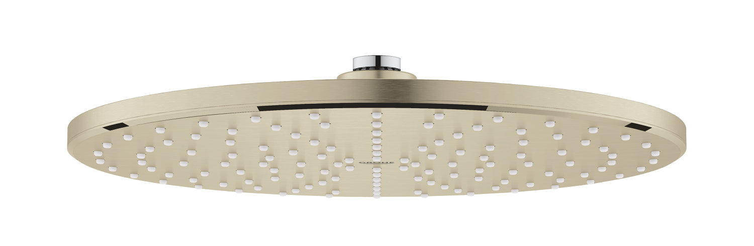 Rainshower Mono 310 Head shower 1 spray