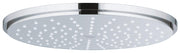 Rainshower Cosmopolitan 210 Head shower 1 spray