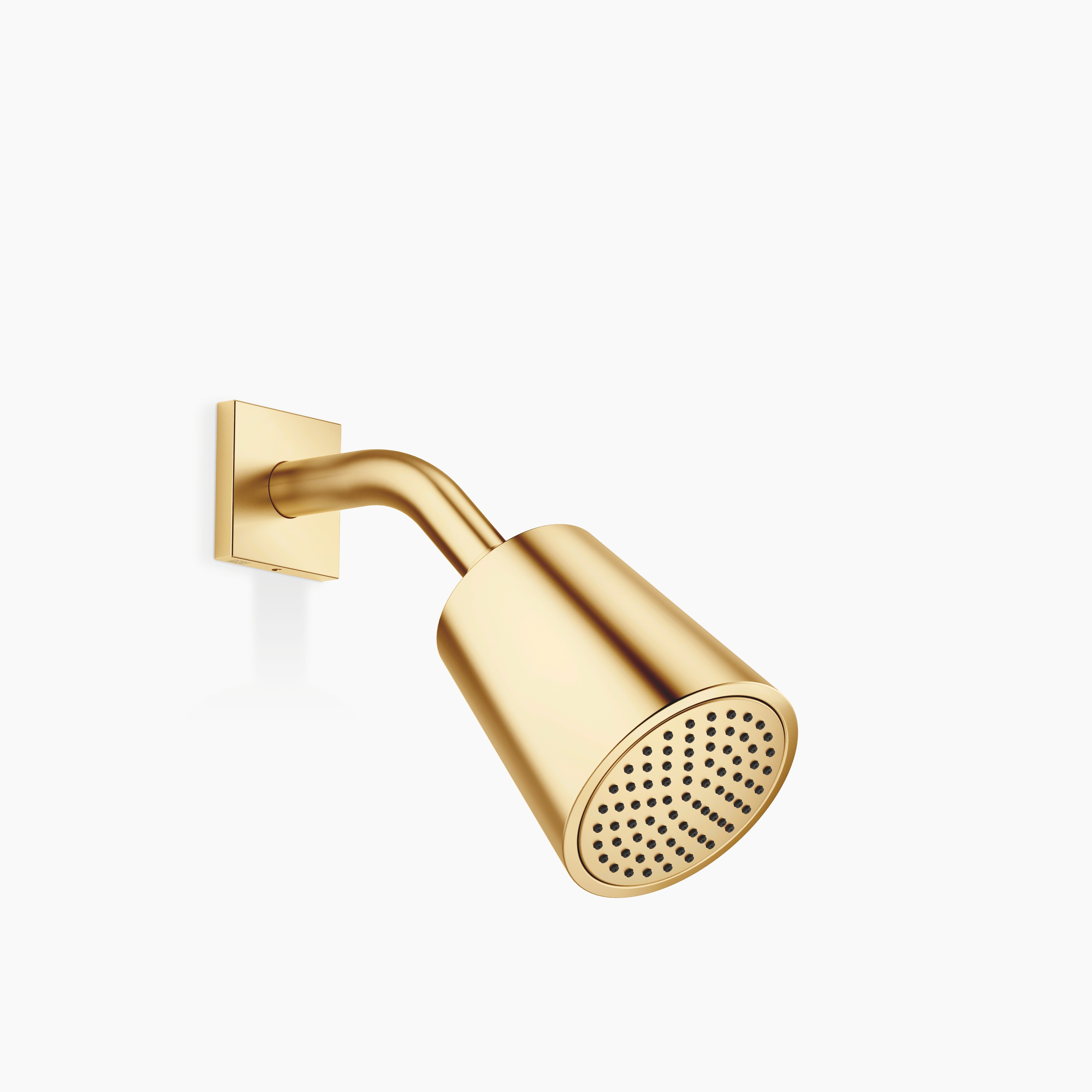 Shower Head Chrome