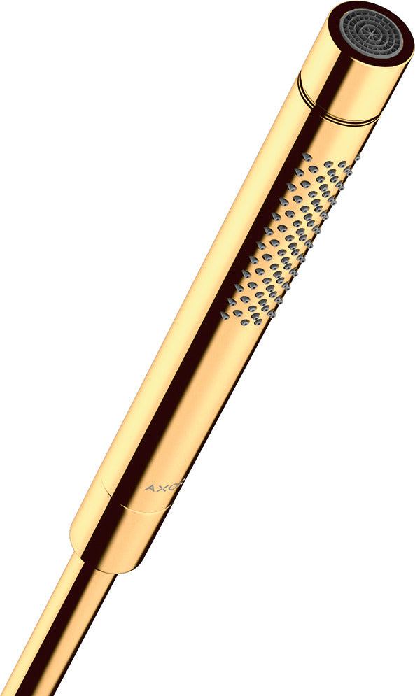AXOR Starck Baton hand shower 2jet
