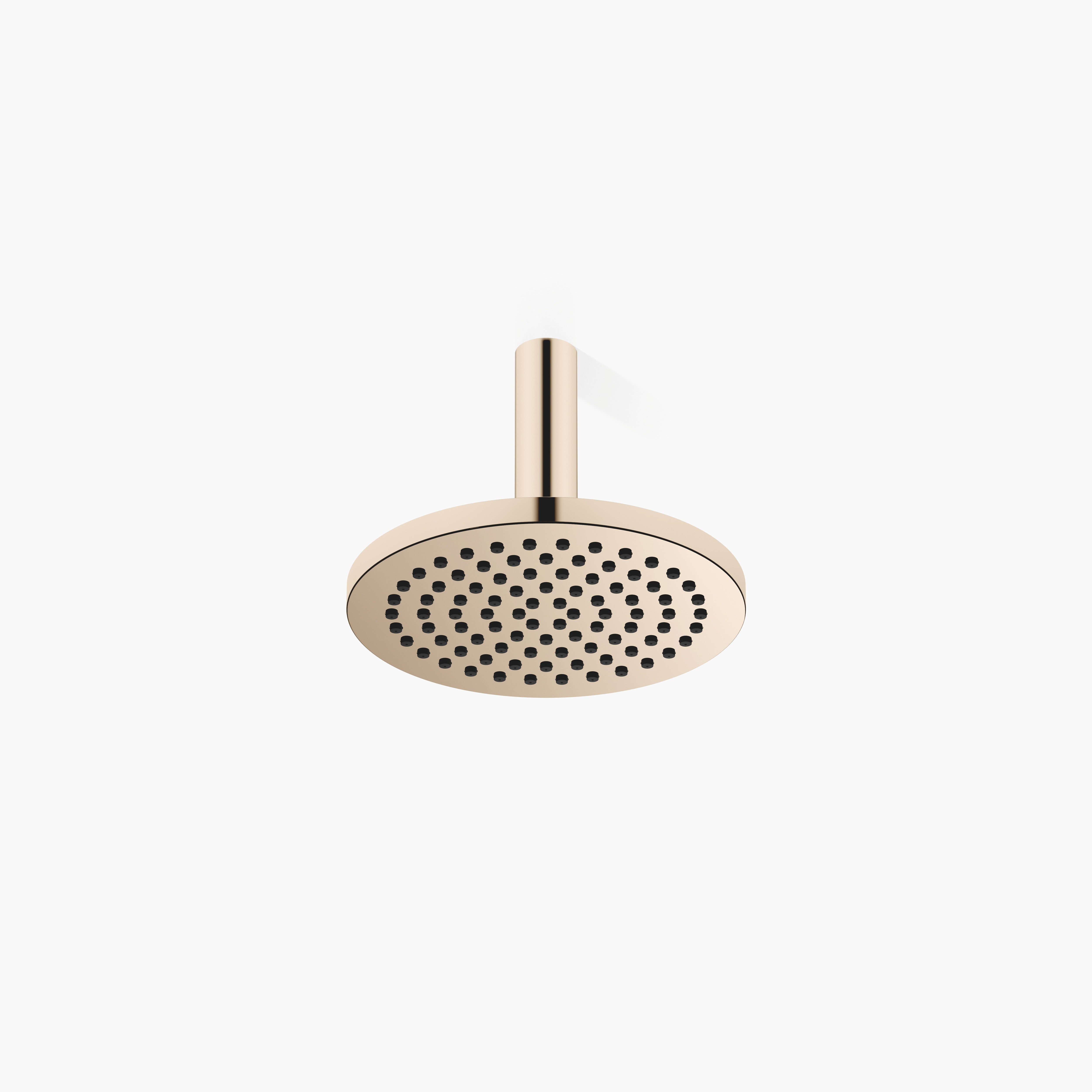 Rain Shower With Ceiling Fixing Flowreduce 220 mm Chrome