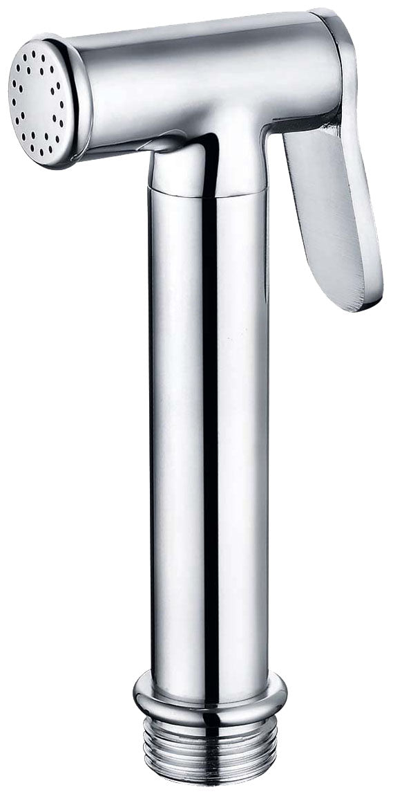 Euroshowers Bidet Shower Spray CP Brass