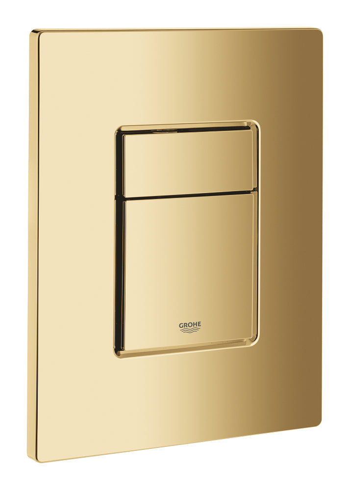 Skate Cosmopolitan Flush plate
