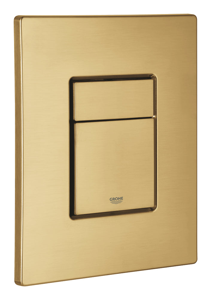 Skate Cosmopolitan Flush plate