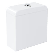 Euro Ceramic Exposed flushing cistern