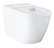 Euro Ceramic Floor standing WC for close coupled combination