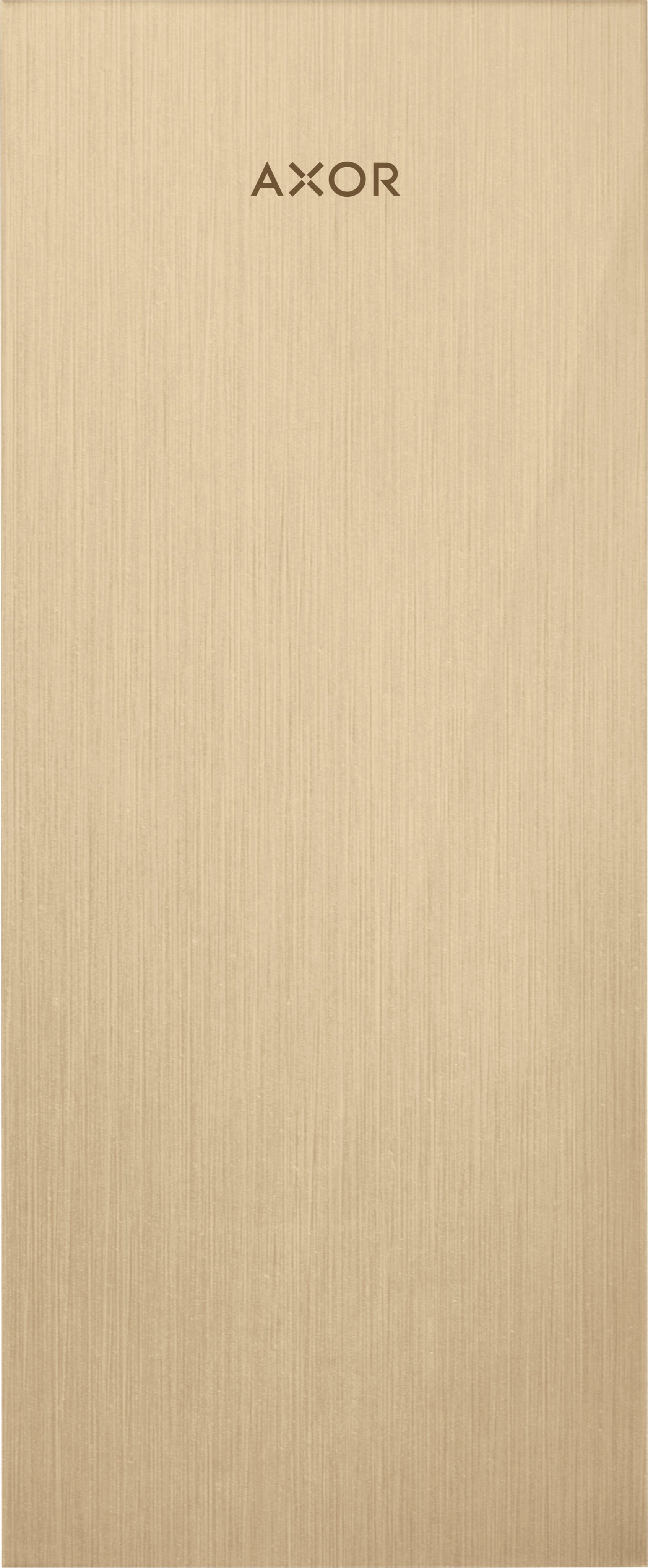 AXOR MyEdition Plate 245 metal