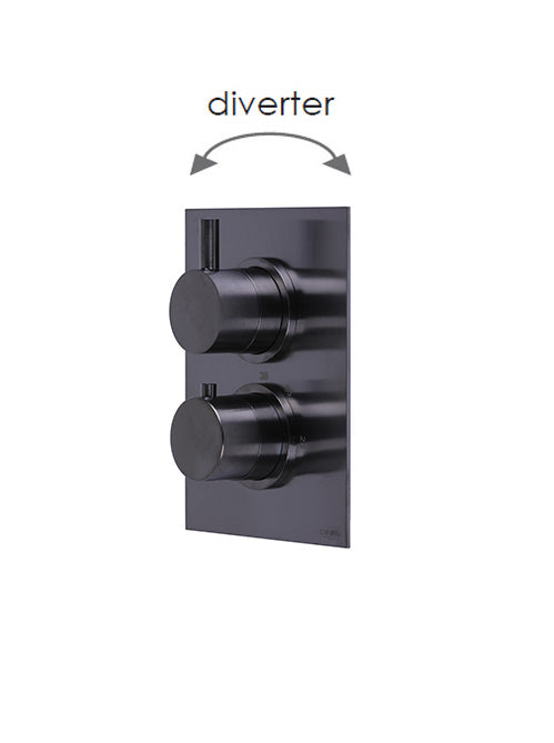 X11 - 2 Control Thermo Valve - 2 outlets - PVD
