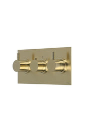 X11 - Landscape 3 Control Valve - 2 outlets -PVD