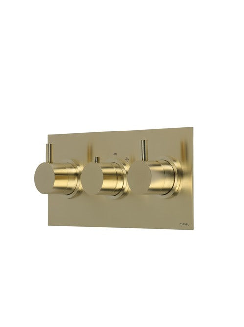 X11 - Landscape 3 Control Valve - 2 outlets -PVD