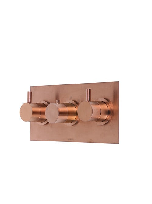 X11 - Landscape 3 Control Valve - 2 outlets -PVD