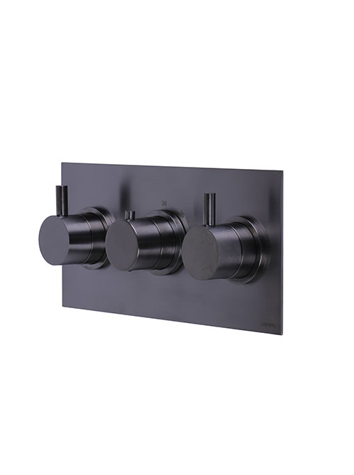 X11 - Landscape 3 Control Valve - 2 outlets -PVD