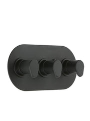BLACK - Viva 3 Control L/scape Valve - 2 outlets