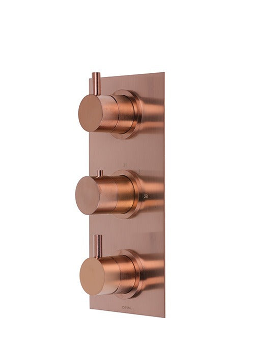 X11 - 3 Control Thermo Valve 2 outlets - PVD