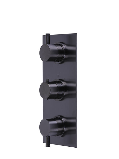 X11 - 3 Control Thermo Valve 2 outlets - PVD
