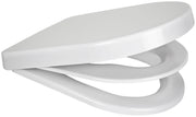Euroshowers Multi D-shaped - DP