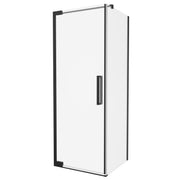 Asura 8mm Side Panel for Hinged Door