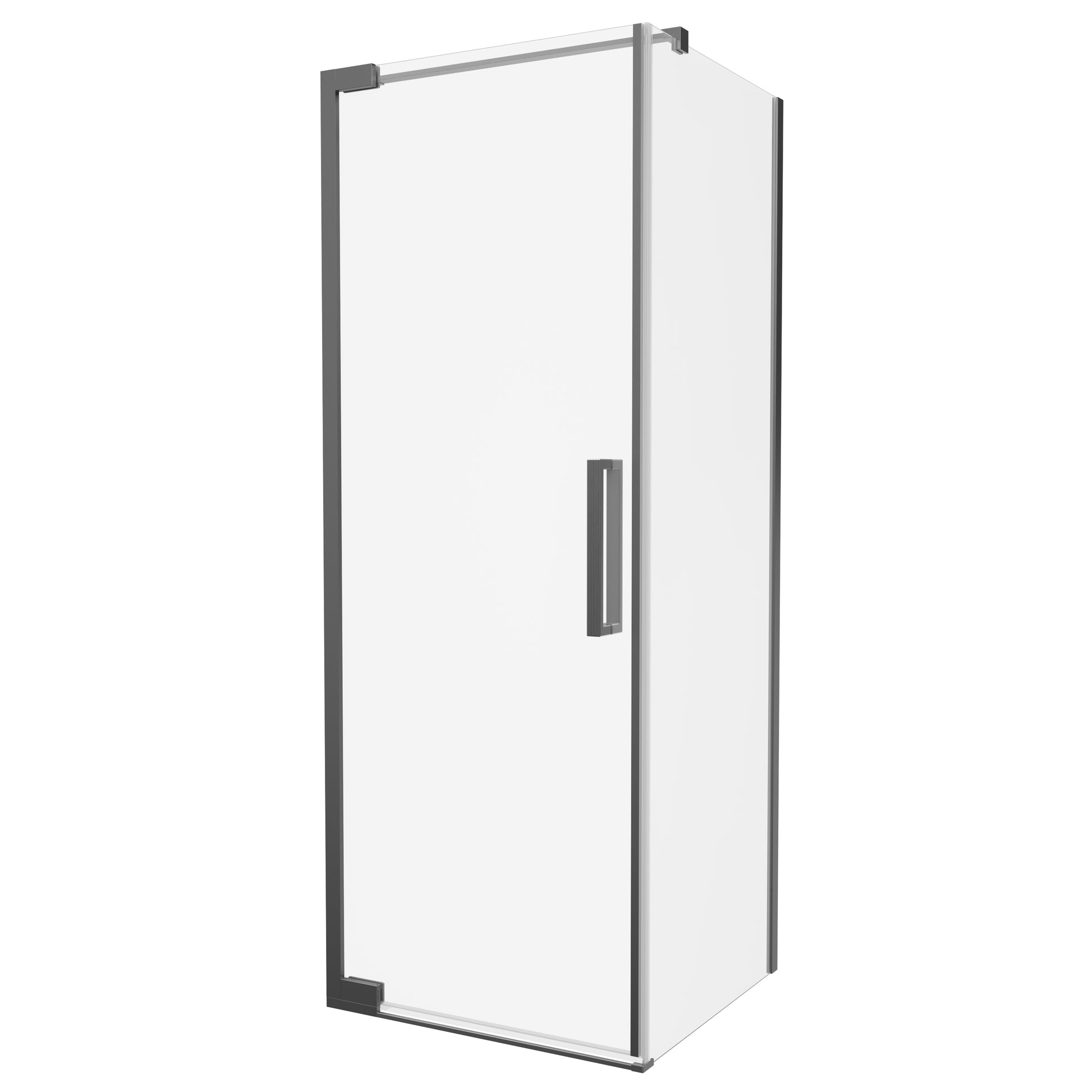 Asura 8mm Side Panel for Hinged Door