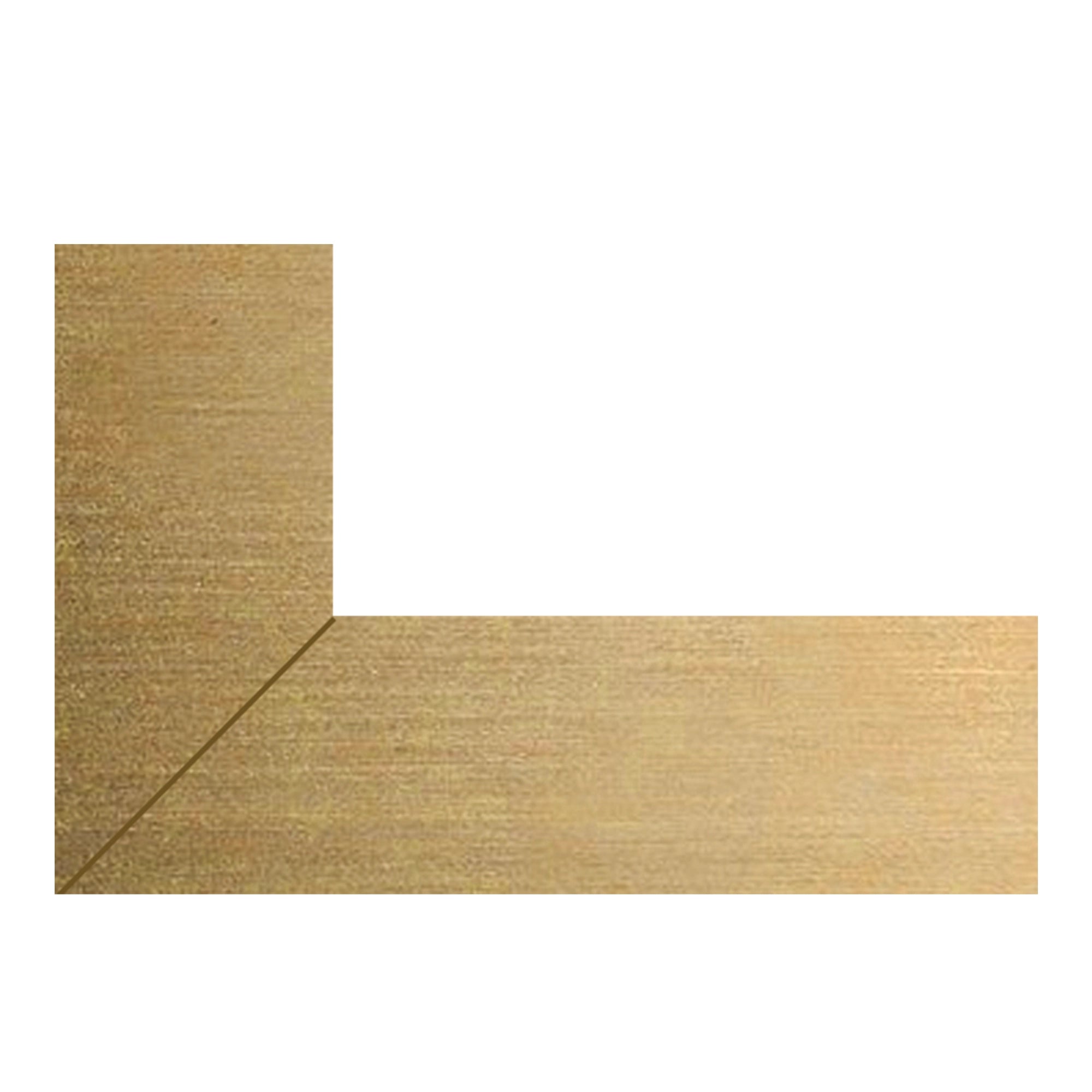 HIB Vanquish Mirror Trim