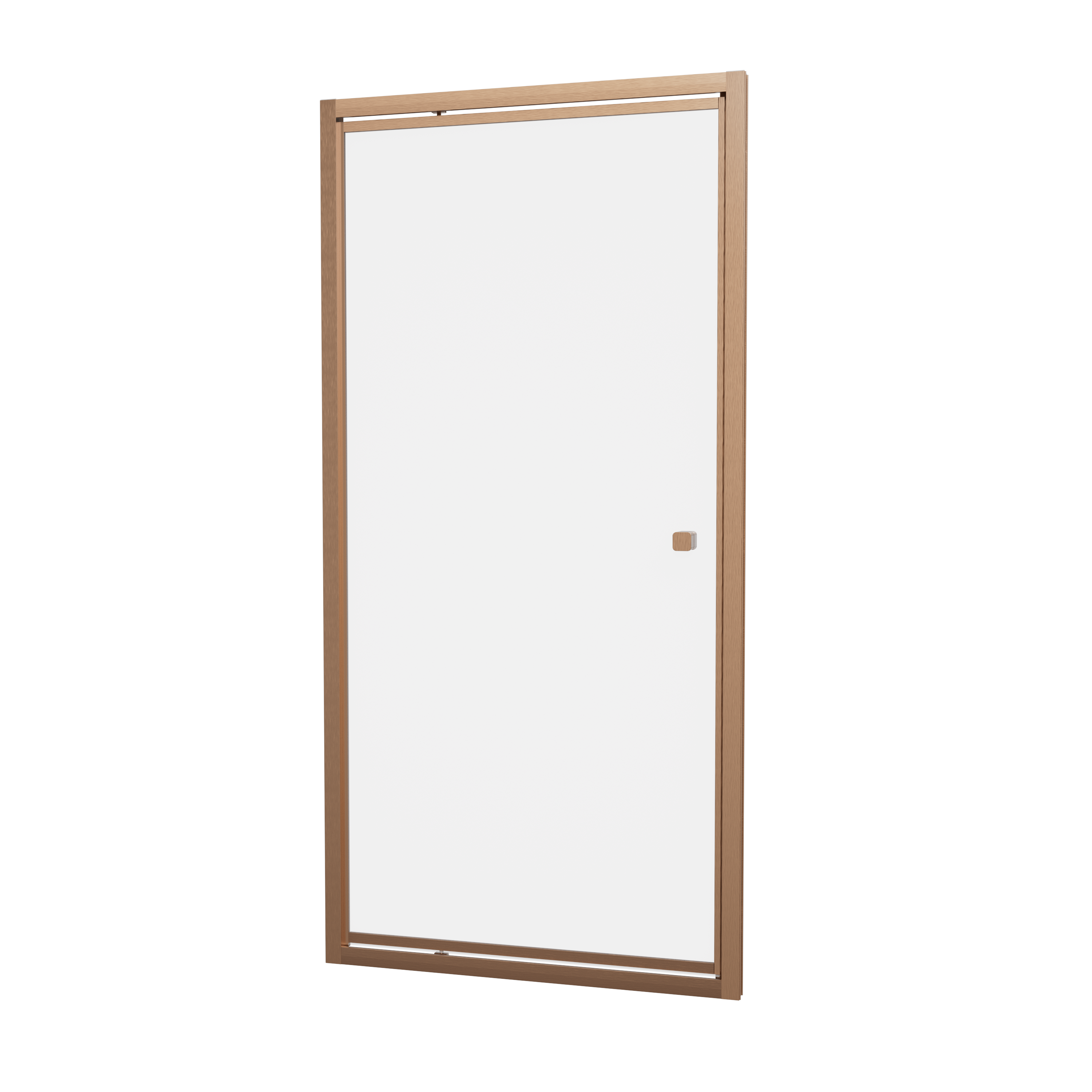 Clear 6 Pivot Door