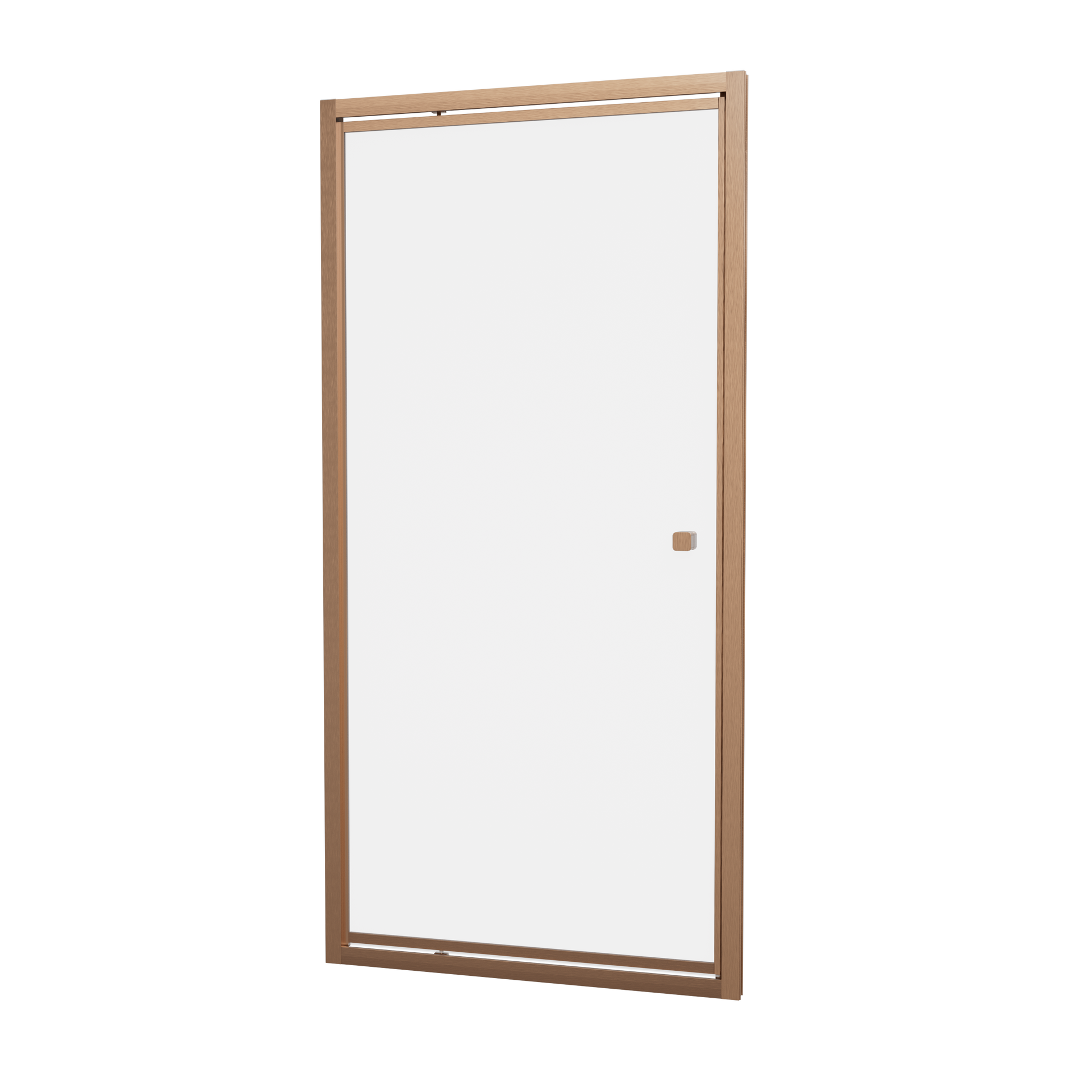Clear 6 Pivot Door