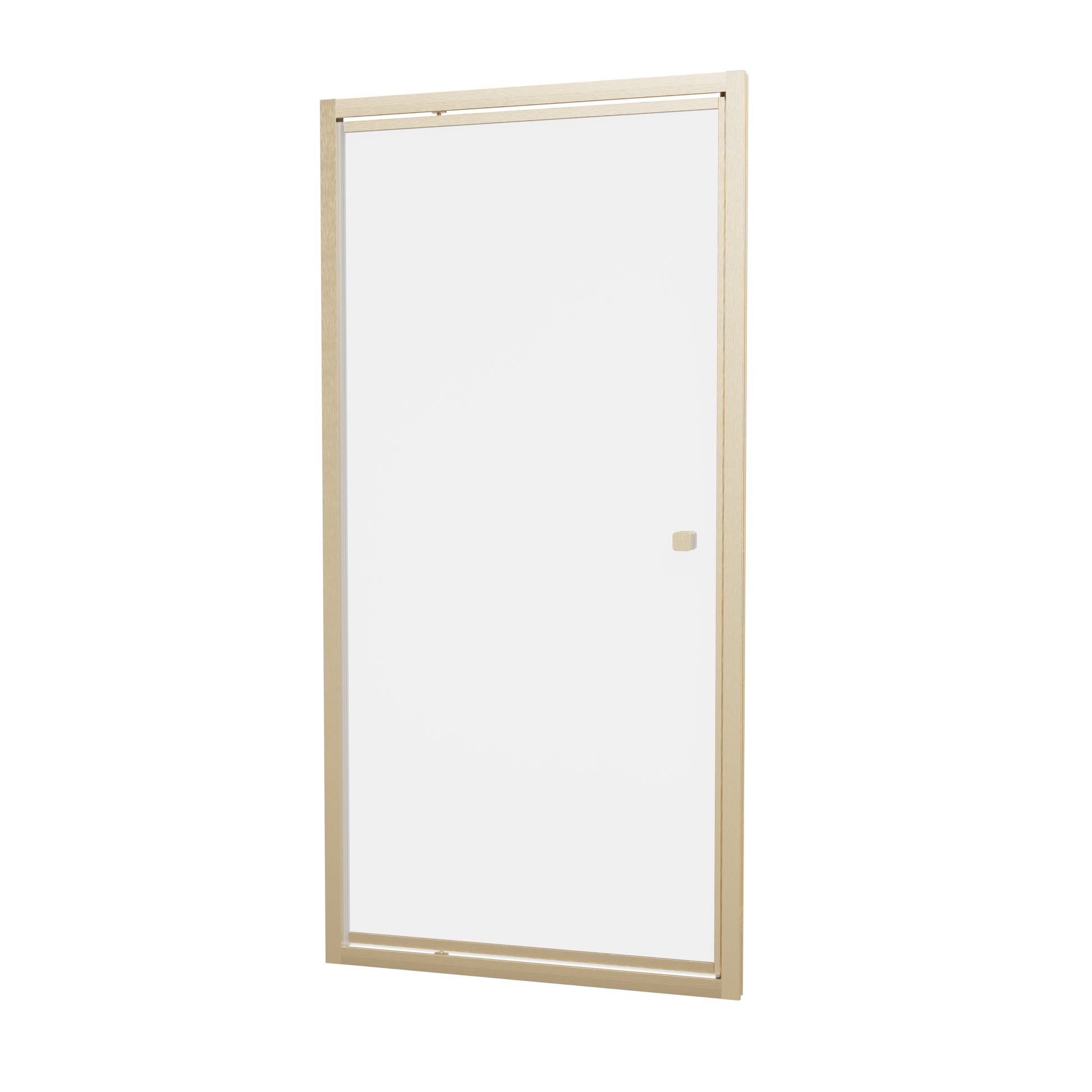 6mm Pivot Door