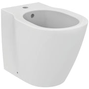 Concept free standing bidet, one taphole