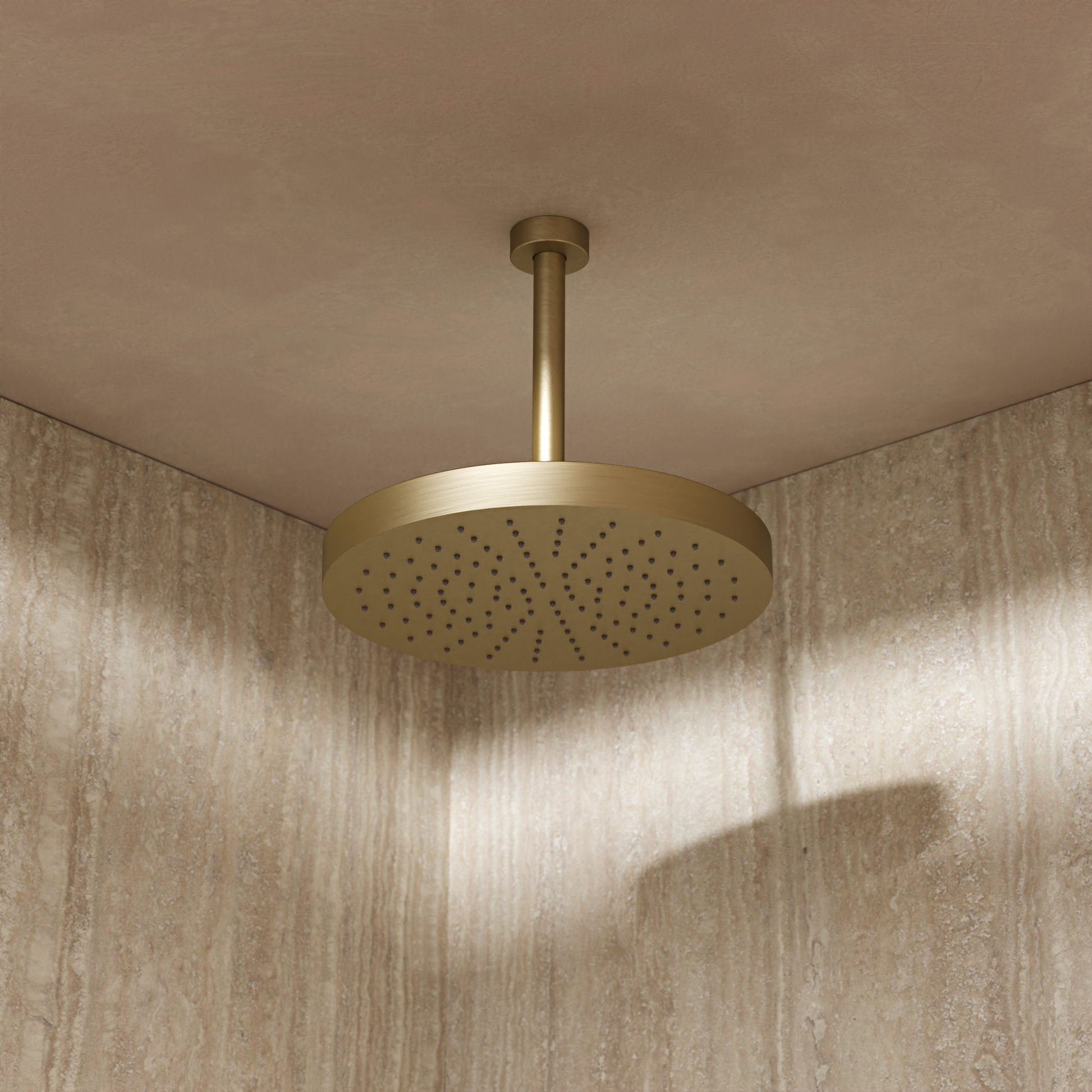 Revive Stainless Steel Shower Head 300 x 300