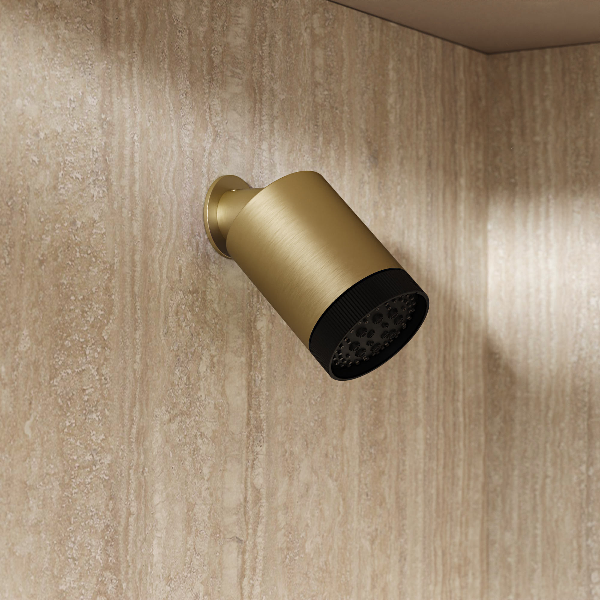 Revive Multi Mode Showerhead
