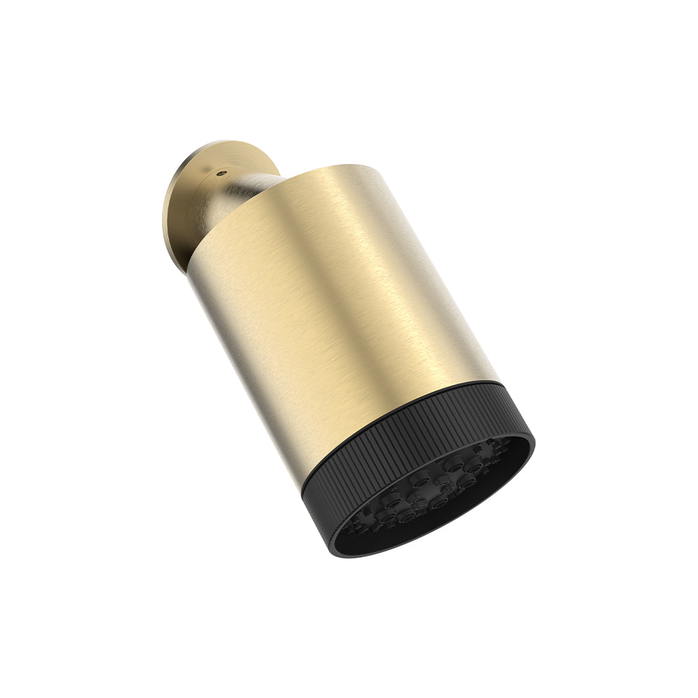 Revive Multi Mode Showerhead