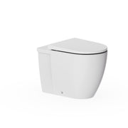 Kai X Back To Wall Toilet