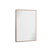 MPRO Lit Mirror x 700mm