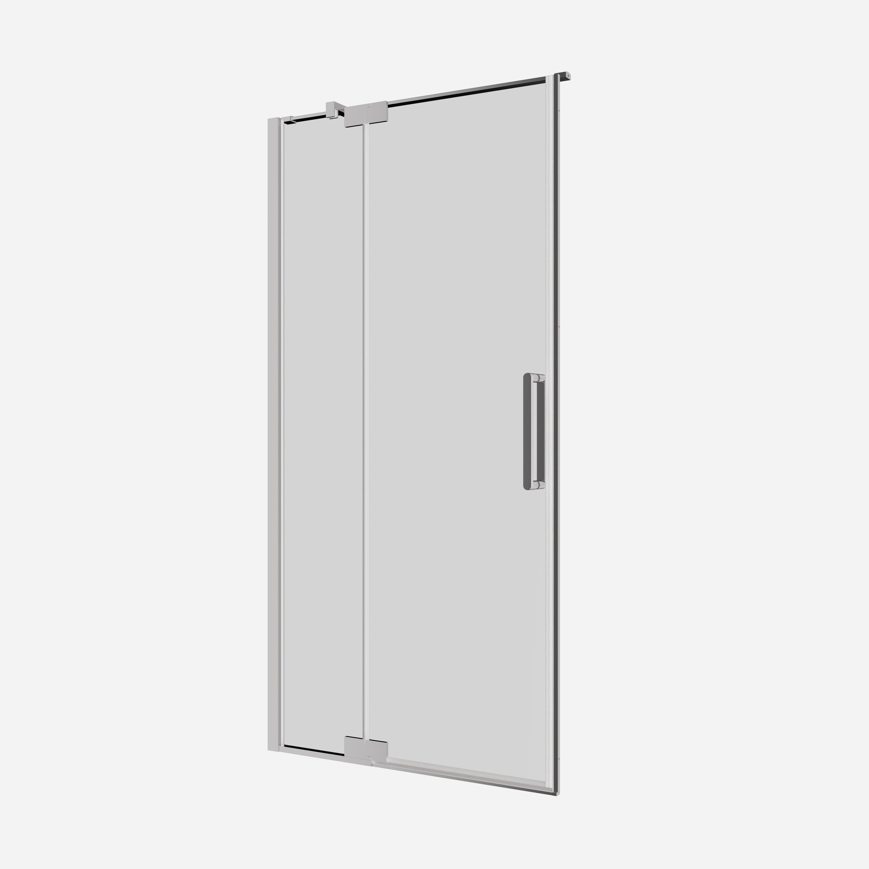 Optix Pivot Door with Inline Panel