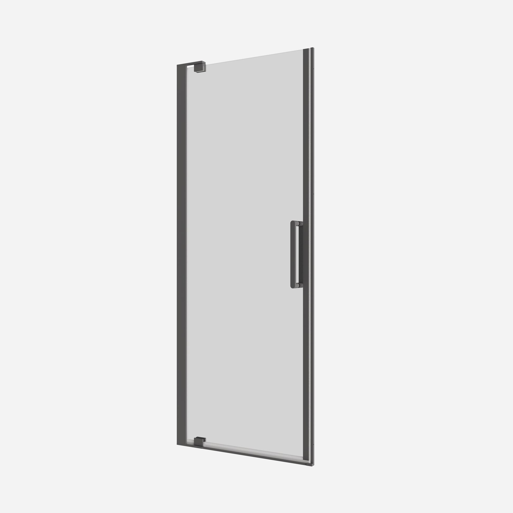 Optix Pivot Door