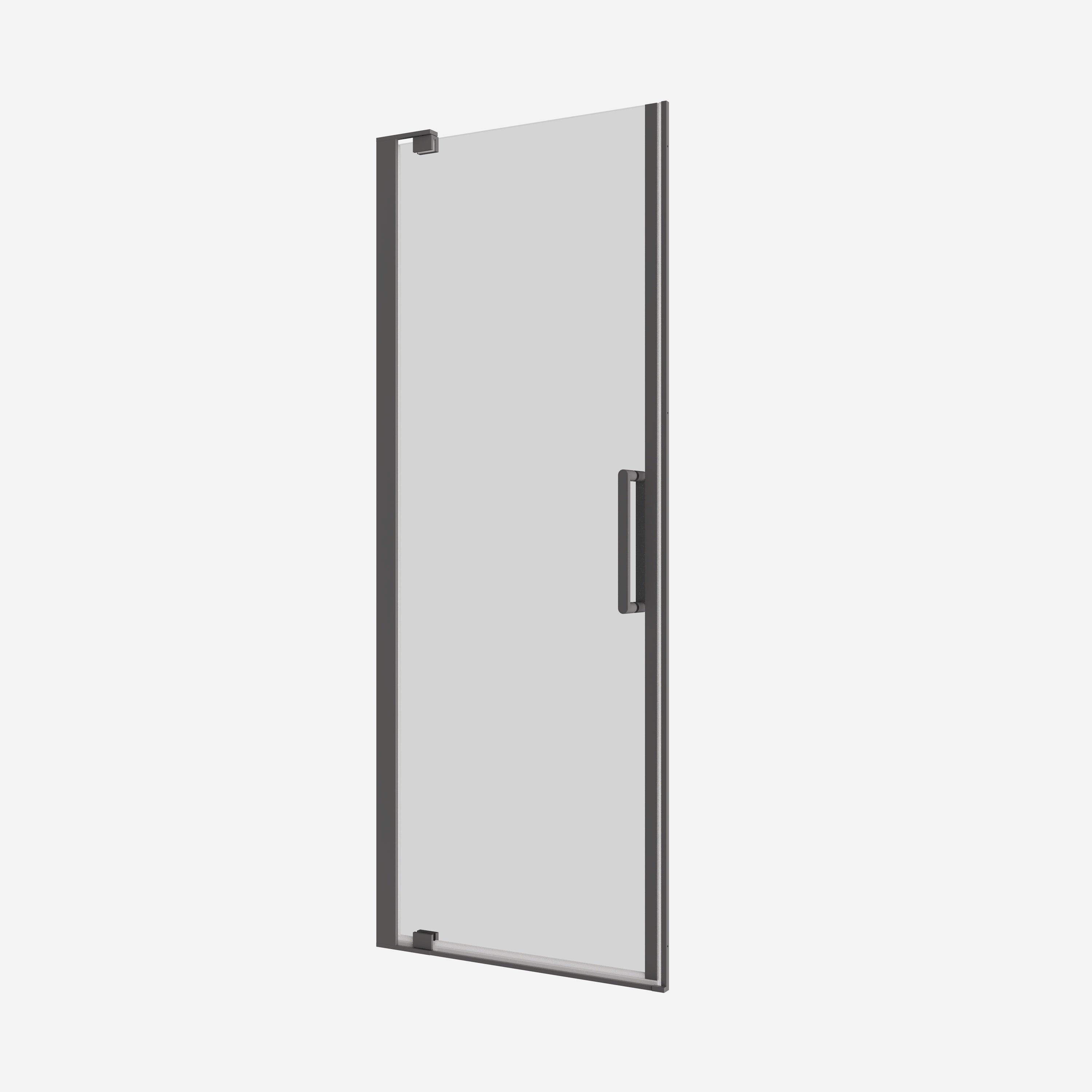 Optix Pivot Door