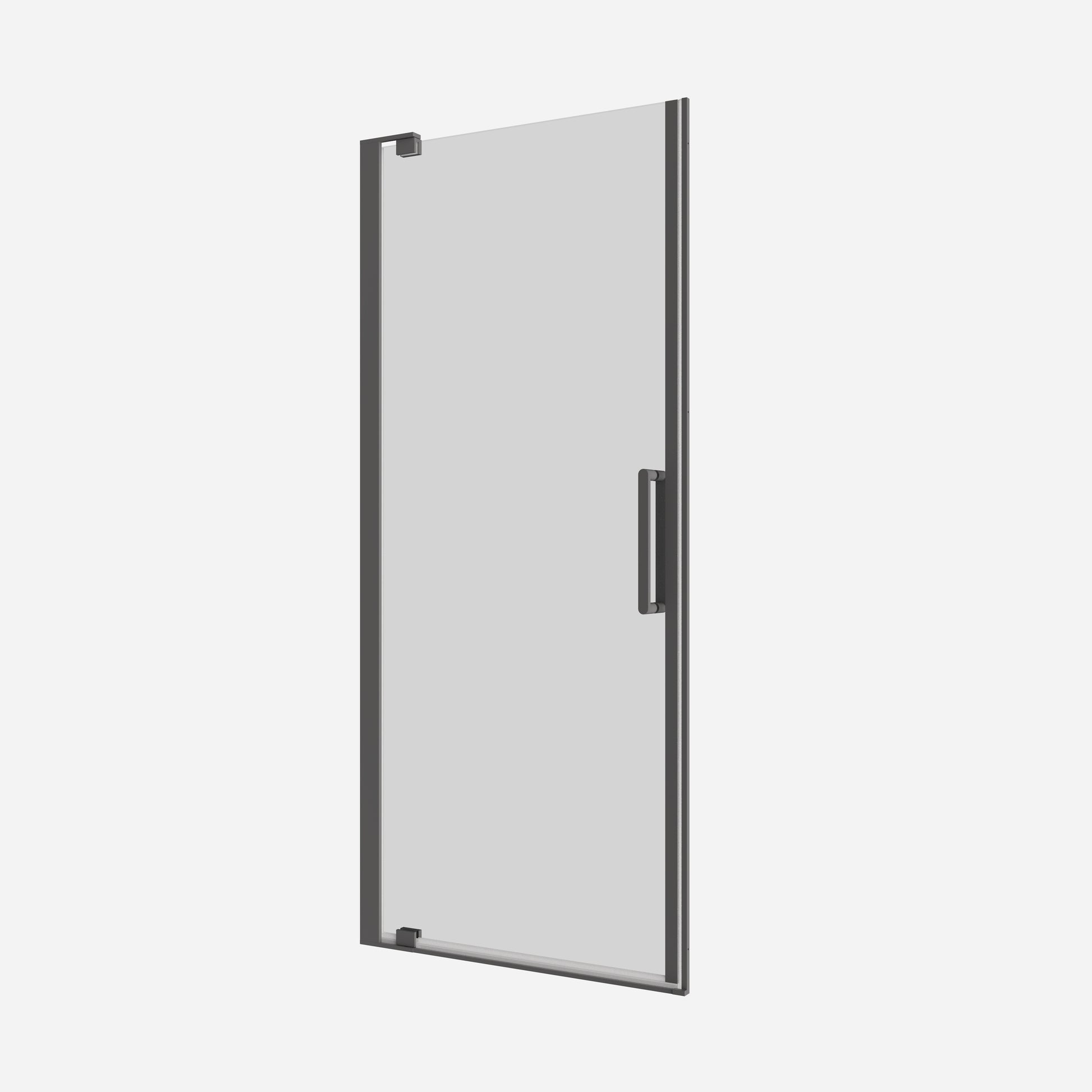 Optix Pivot Door