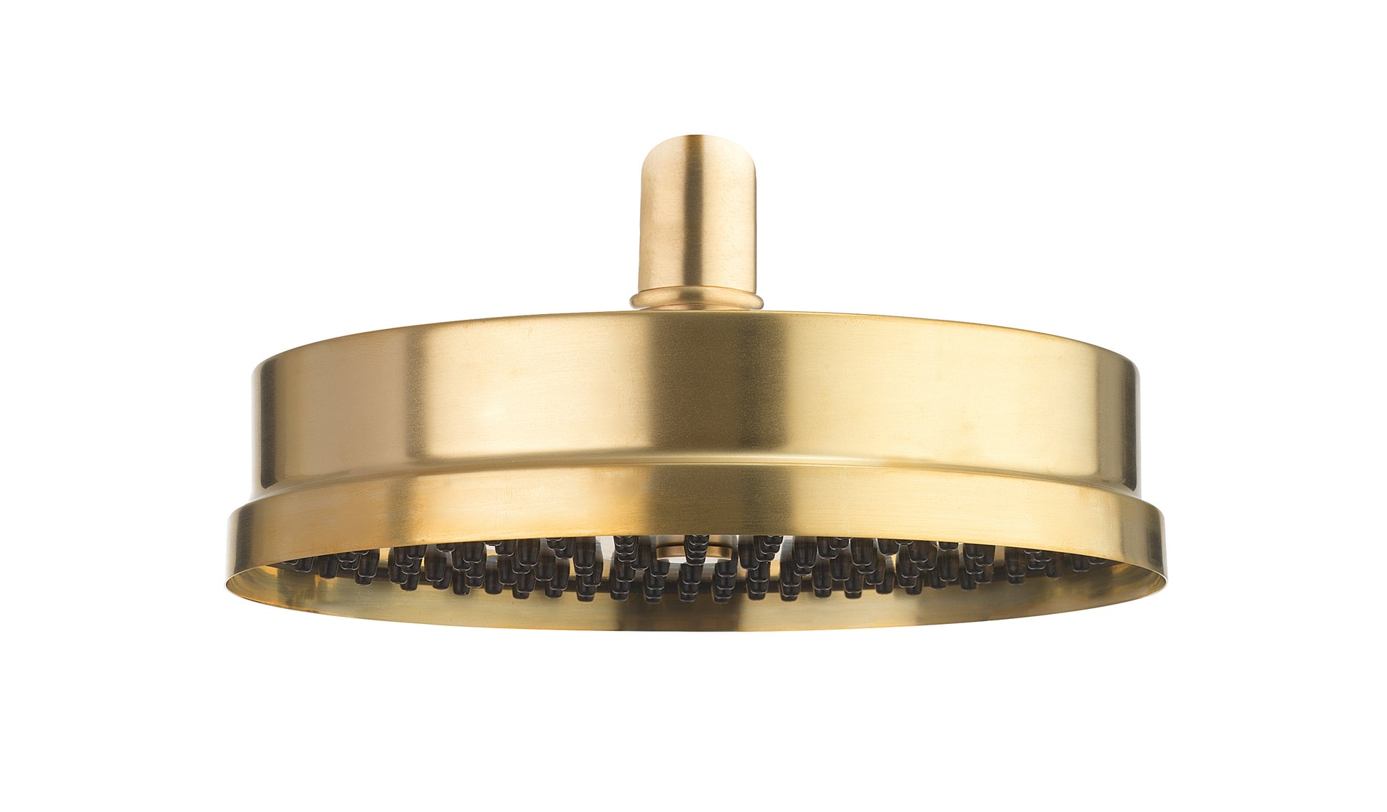 MPRO Industrial Easy Clean Shower Head Brushed Brass Unlaquered