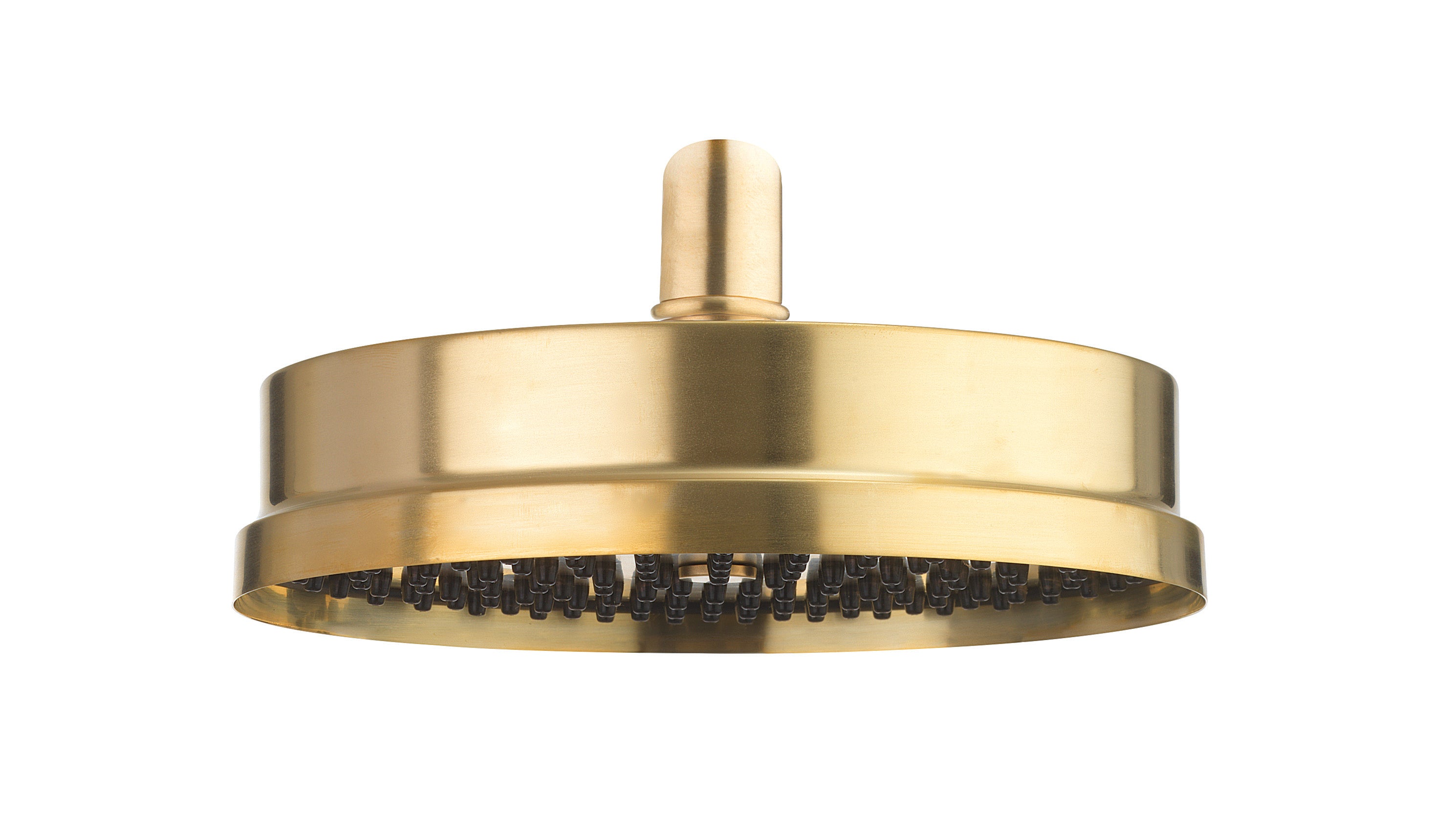 MPRO Industrial Easy Clean Shower Head Brushed Brass Unlaquered
