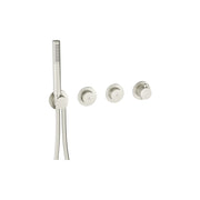 Module MRPO Push 2 Outlet Trimset with Handset Stainless Steel Effect