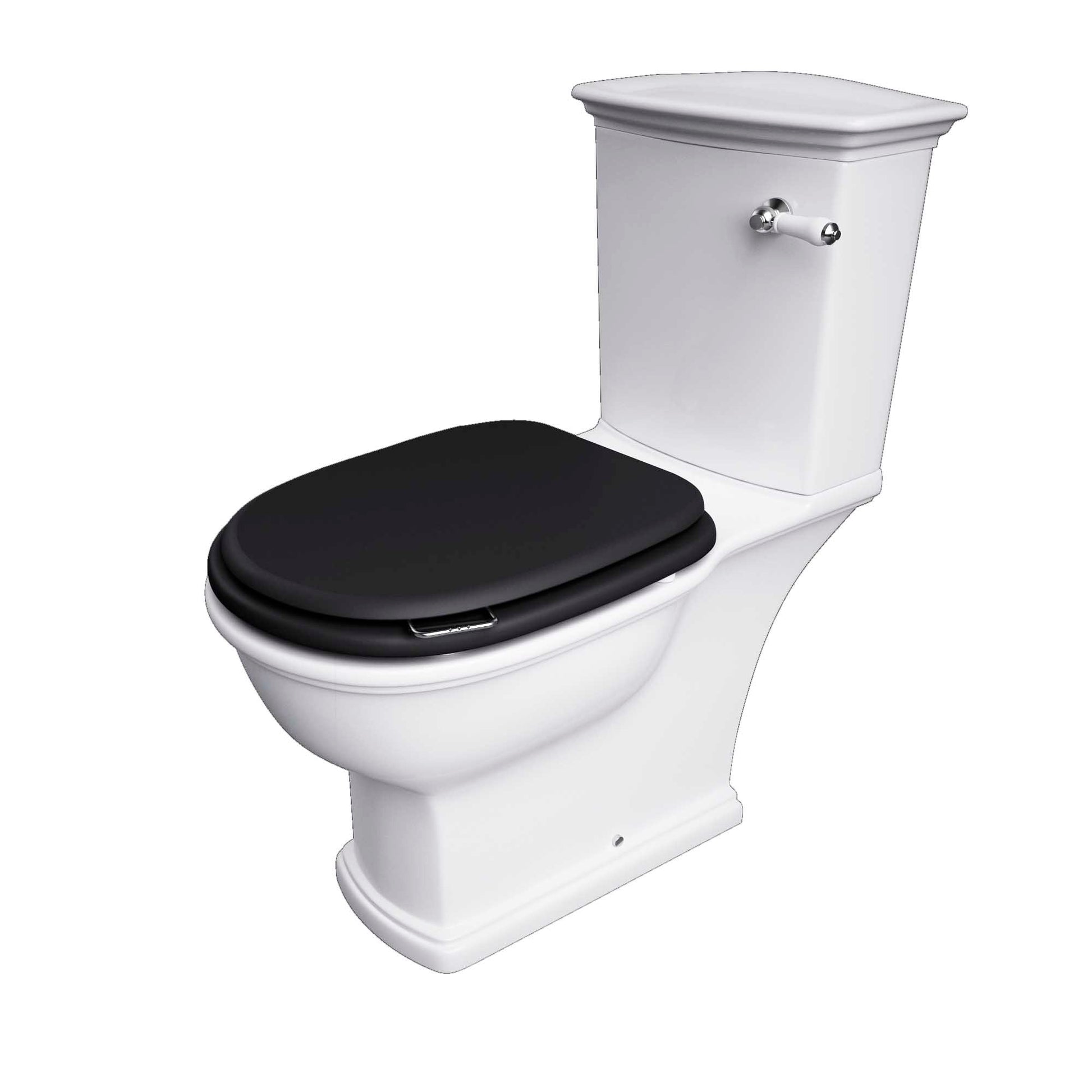 RAK Washington Wood Soft Close Seat and Cover in Matt