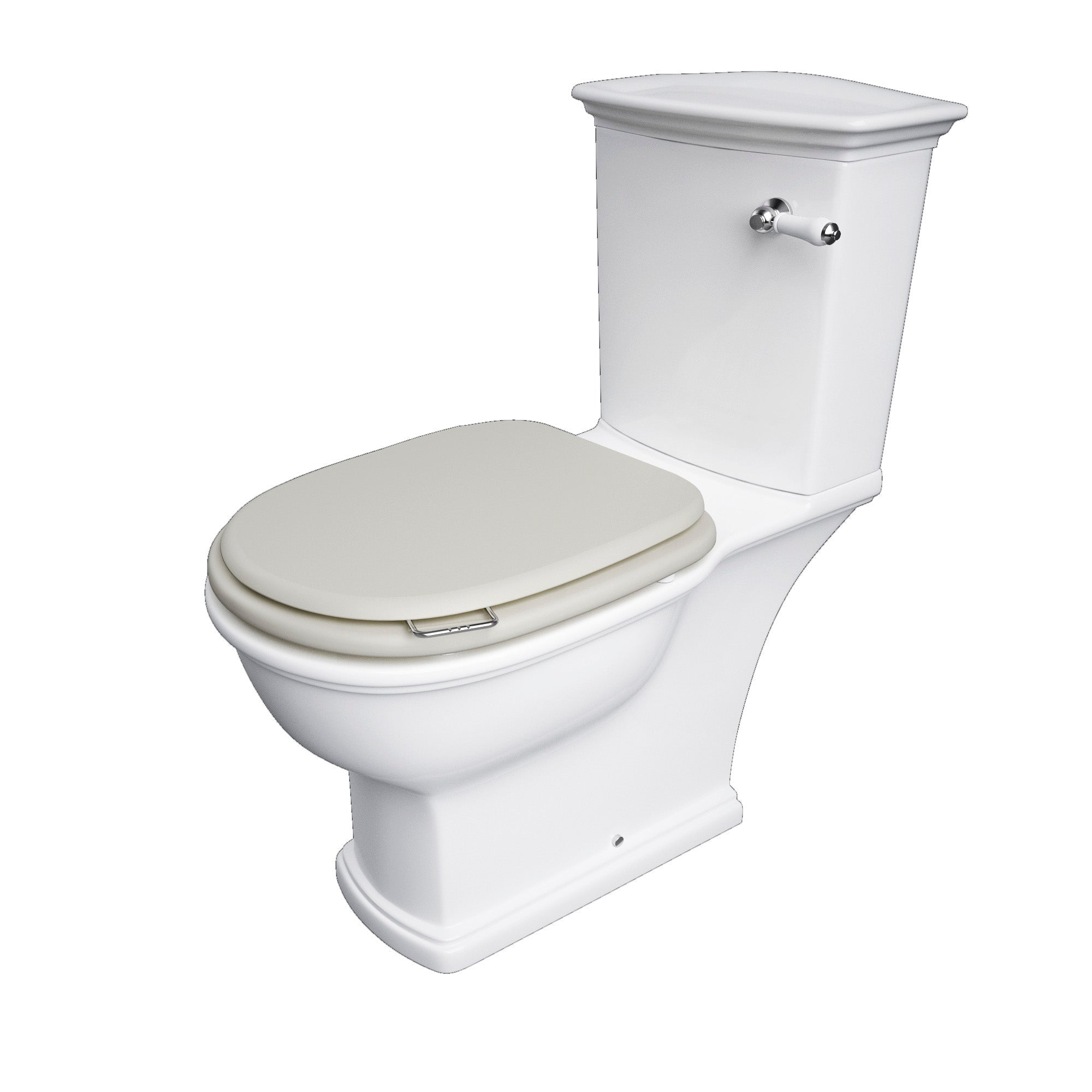 RAK Washington Wood Soft Close Seat and Cover in Matt