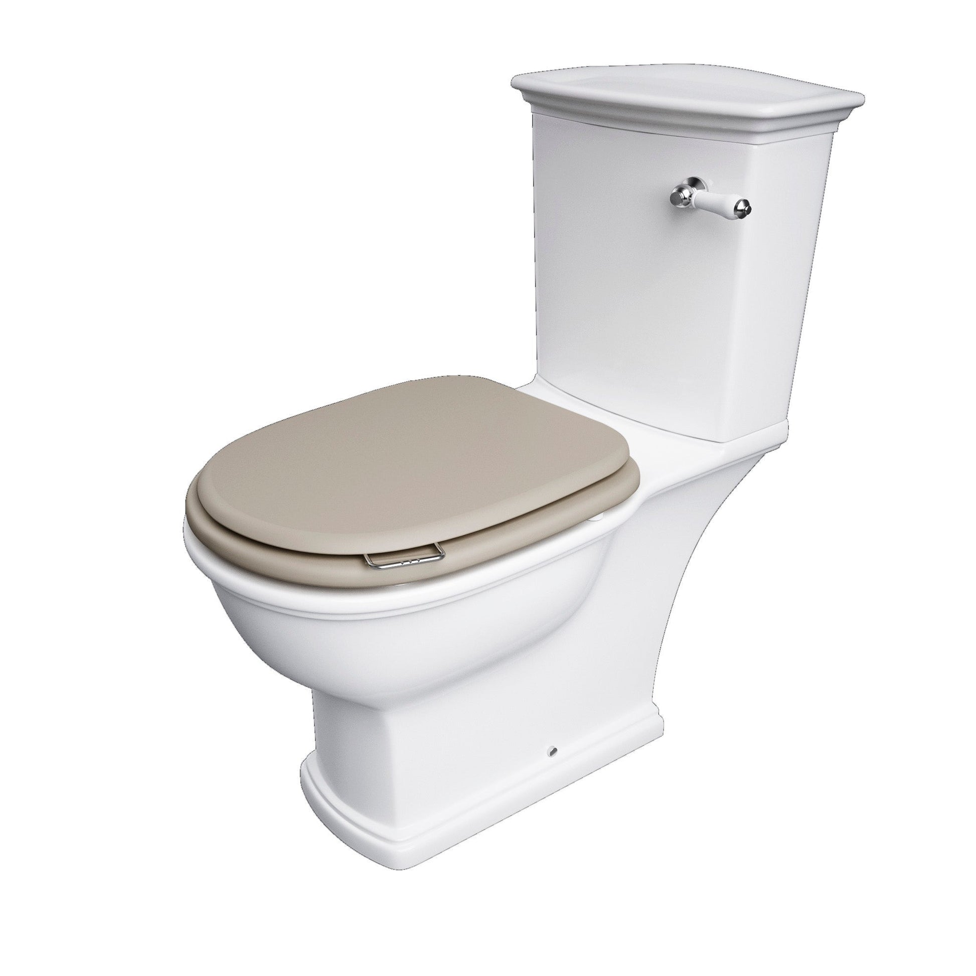 RAK Washington Wood Soft Close Seat and Cover in Matt