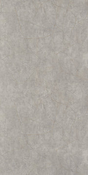 Showerwall Silver Slate Gloss Wall Panel (Plywood)