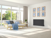 Zehnder Myra Aluminium Rad