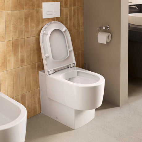 DuraSystem Mechanical actuator plate for WC A1