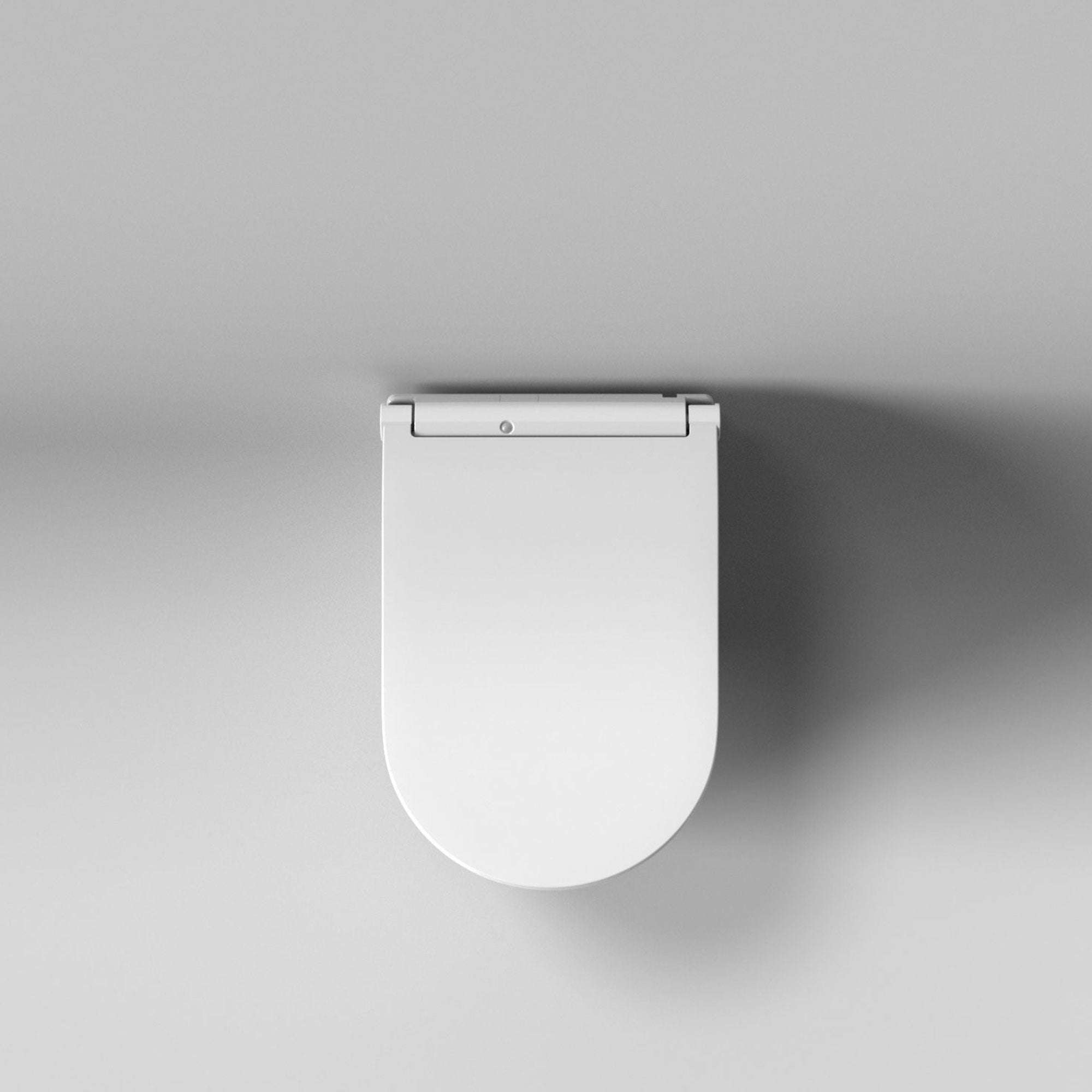 TOTO WASHLET RW AUTO FLUSH WITH WHITE TRIM SEAT